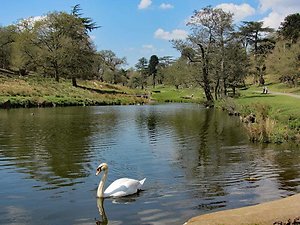 Mini  Blog. Bradgate 