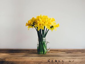 Mini  Blog. Dafs